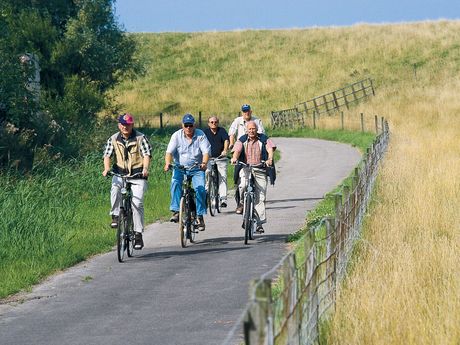 Drei Radfahrer fahren auf dem Radweg des Deiches, Südliches Ostfriesland